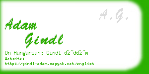 adam gindl business card